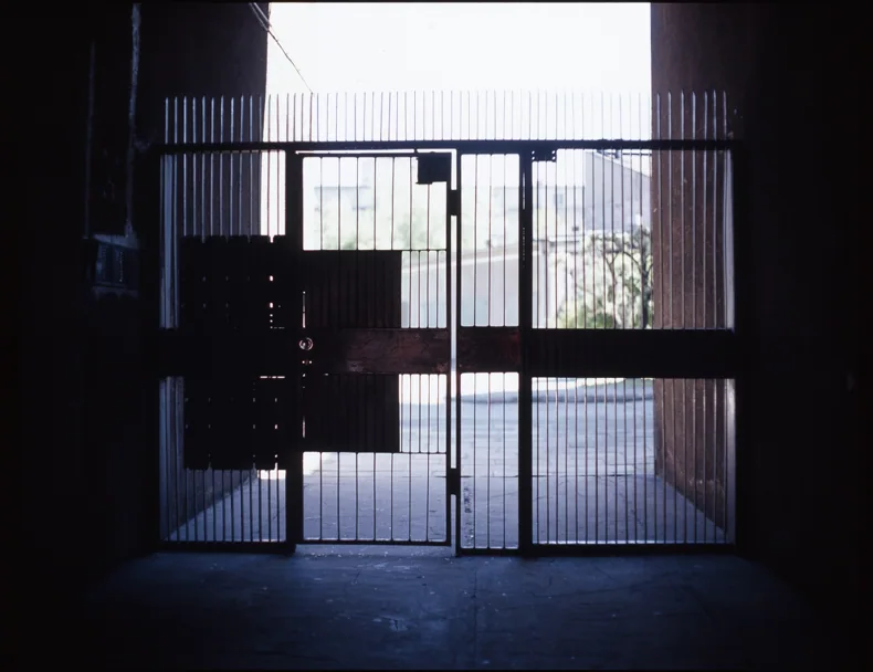 Photograph 2 from Out the Shadows