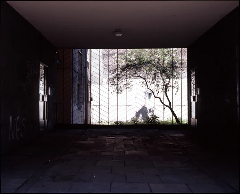 Photograph 6 from Out the Shadows