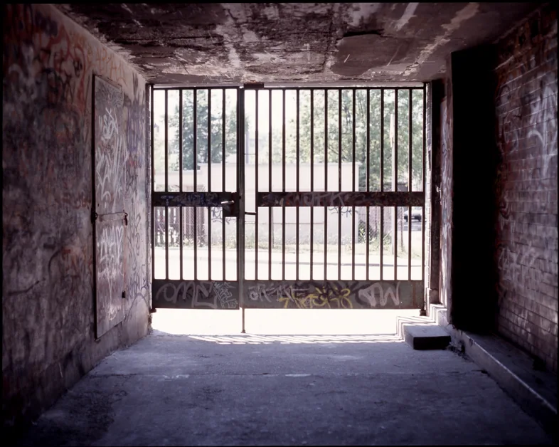 Photograph 9 from Out the Shadows