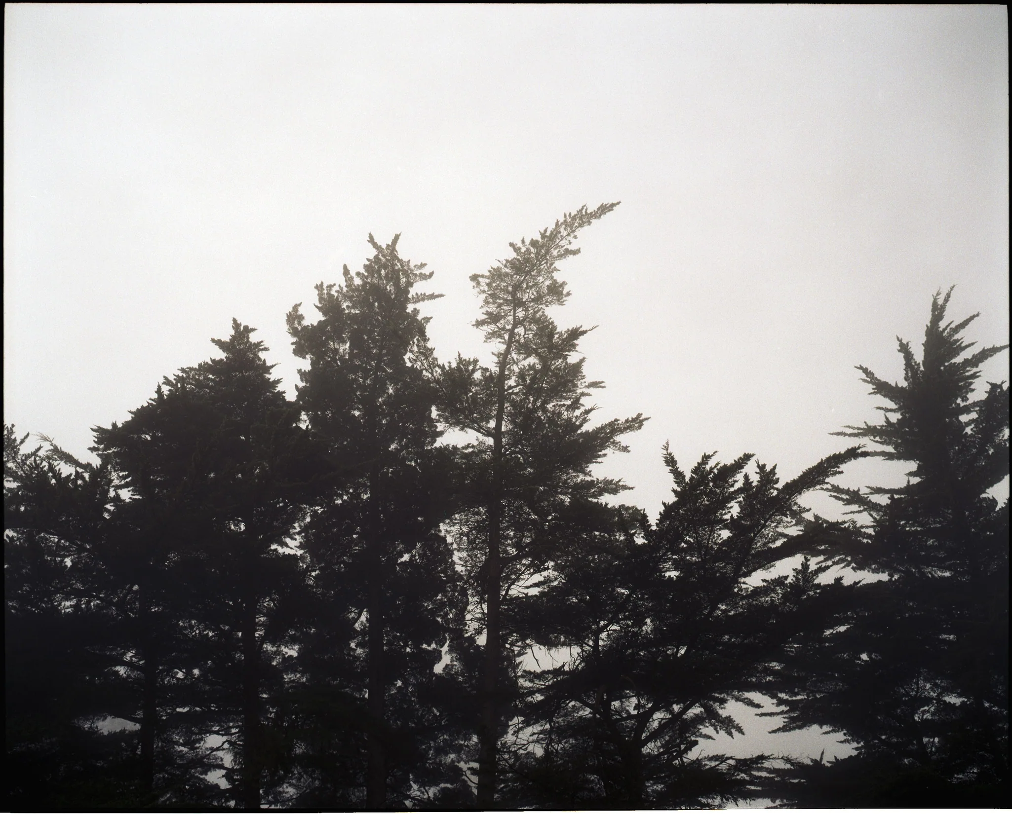 Photograph 12 from Scapes