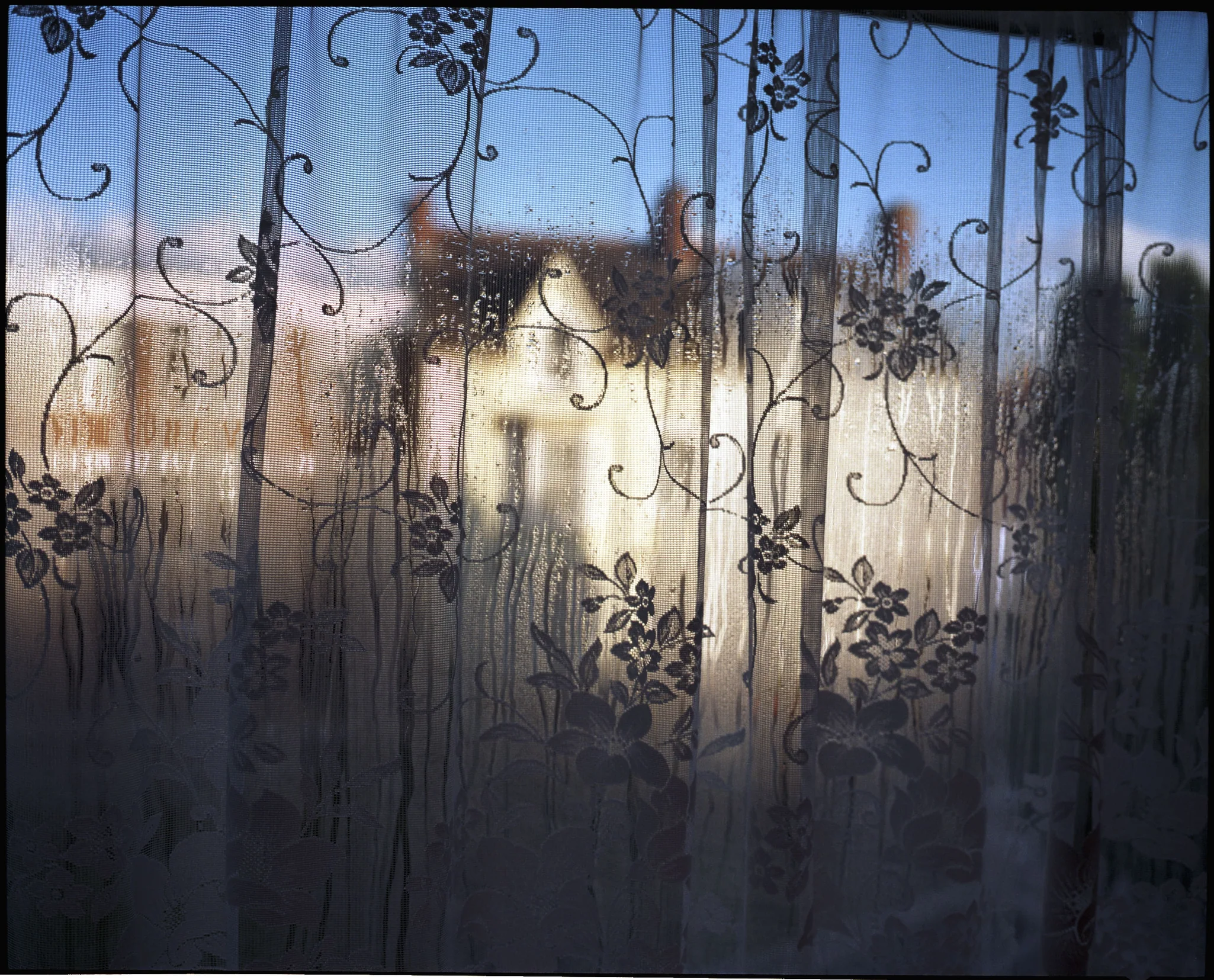 Photograph 16 from Scapes